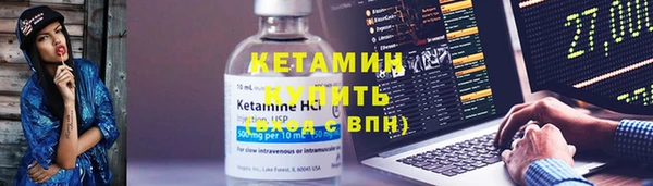 сатива Кинешма