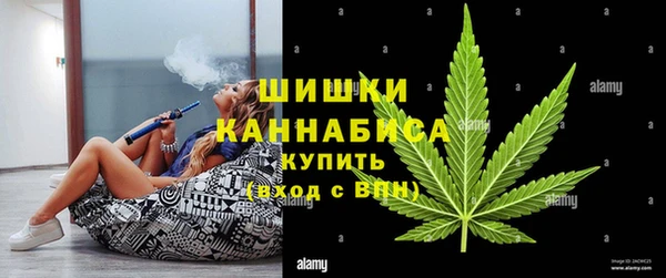 дживик Санкт-Петербург