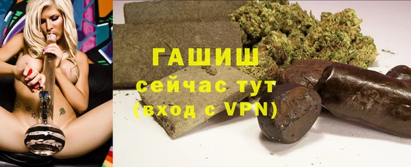 сатива Каменногорск