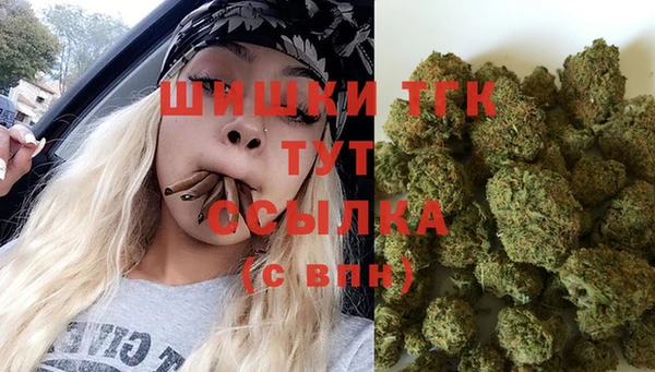 сатива Кинешма