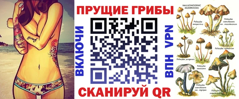 Псилоцибиновые грибы Psilocybine cubensis  Лысково 